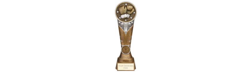 IKON BOXING RESIN TROPHY WITH OPTIONAL CUSTOM CENTRE - 5 SIZES - 12.5CM - 22.5CM